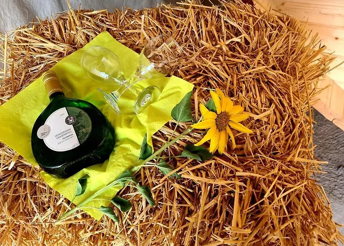 Schlaffass Mit Wellness In Alter Scheune